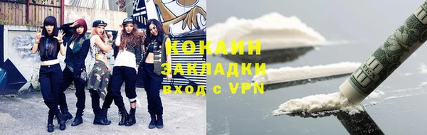ГАЛЛЮЦИНОГЕННЫЕ ГРИБЫ Арсеньев
