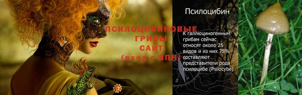 шишки Балахна