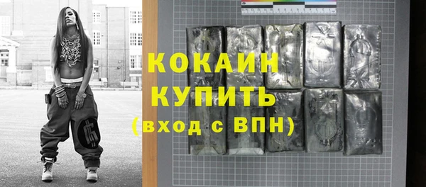 шишки Балахна