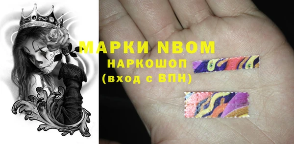 шишки Балахна