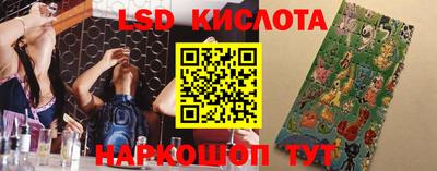 a pvp Бердск
