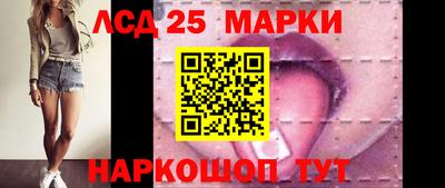 a pvp Бердск