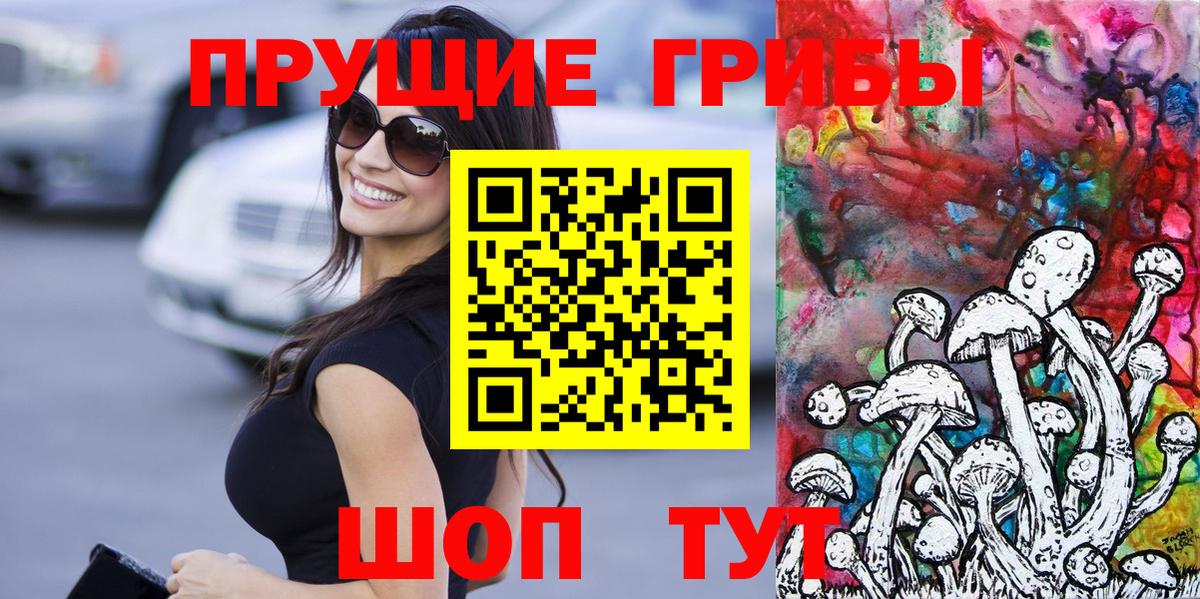 Псилоцибиновые грибы Psilocybe  Бахчисарай 