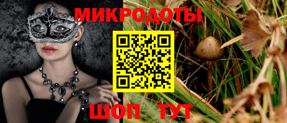 Галлюциногенные грибы ЛСД Бахчисарай