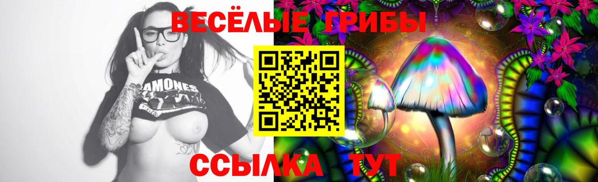 Псилоцибиновые грибы GOLDEN TEACHER Бахчисарай